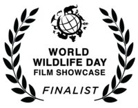 Finalist beim Jackson Wild WWDF Showcase: Forest