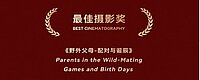 "Golden Panda Award 2025" für "Best Cinematography"