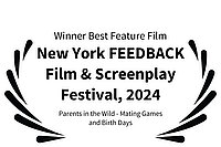Award at New York Feedback Film Festival 2025